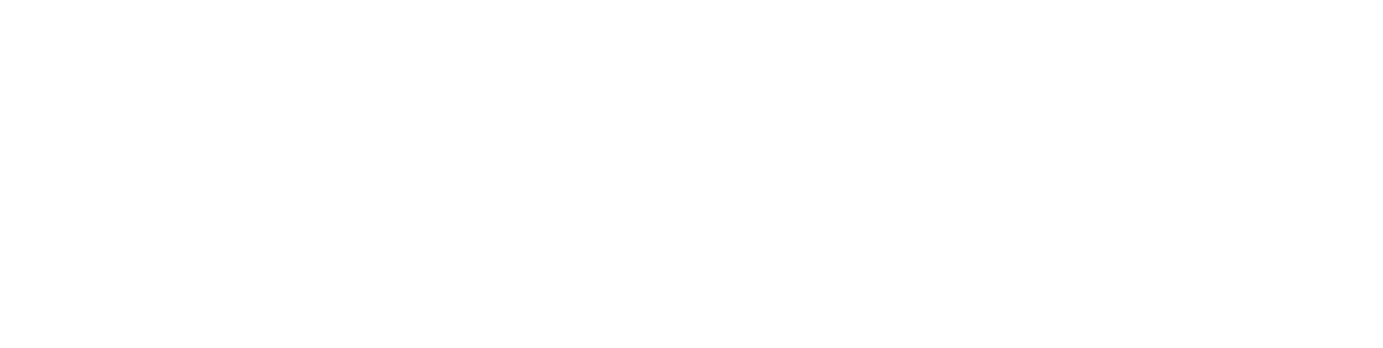 RaffleRaise Logo - White